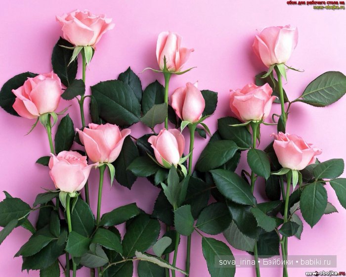 Милый розовощекий ребенок Special Delivery Faysah Spanos (фото 7)