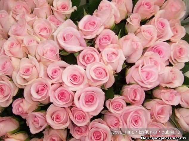 Милый розовощекий ребенок Special Delivery Faysah Spanos