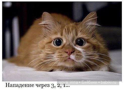 Улыбнитесь, на улице наступила весна | Бэйбики Улыбнитесь, на улице наступила весна (фото 4)