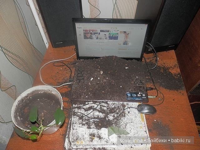 Улыбнитесь, на улице наступила весна