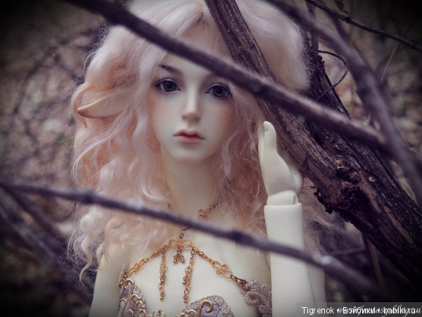 SOOM Amber - Pure Spirit (Елена) SOOM Amber - Pure Spirit (Елена)