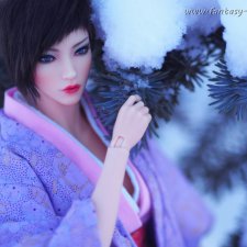 Зимняя прогулка леди Кимико