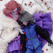 Темные эльфы. Ягоды на снегу