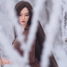 Снежная лучница