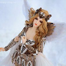 Моя Валькирия