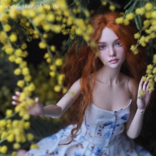 Девочка и мимоза