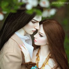 В цветении вишни