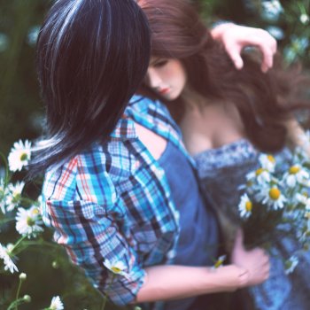 Ромашковое поле