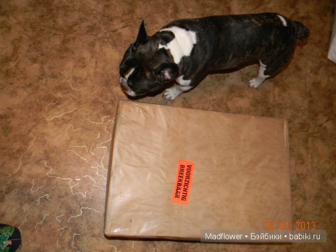 Бывает ли радость тройной