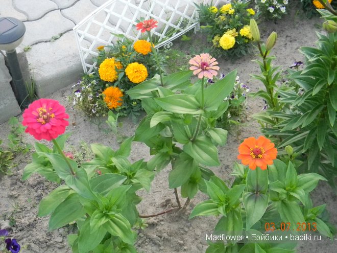 Брук и Шанталь - куклы Готц 58 см. Моя главная радость