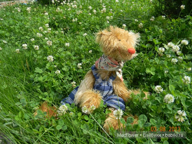 Субботняя прогулка или медведь-затейник. Куклы ZWERGNASE (фото 2)