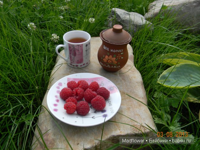 Субботняя прогулка или медведь-затейник. Куклы ZWERGNASE