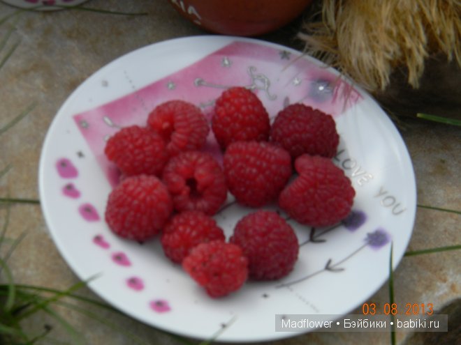 Субботняя прогулка или медведь-затейник. Куклы ZWERGNASE (фото 10)