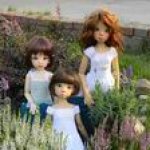 В мечтах о Провансе... (Микки, Талисса и Нелли, Кайе Виггс)