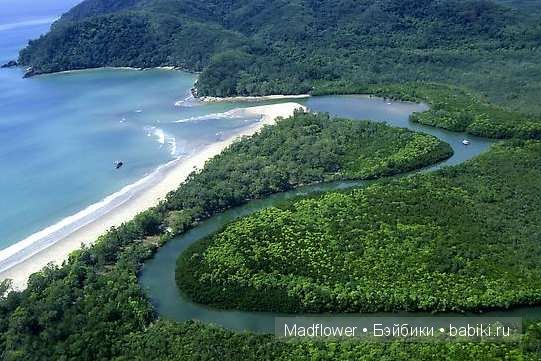Первый снег (Руби, Мэддисон, Тед, шарнирные куклы Лиз Фрост)