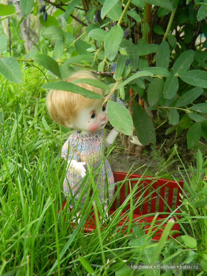 Вовка и компания (БЖД Ino Irrealdoll, Ellemeno Nikki Britt, Pukifee Fairyland) | Бэйбики Вовка и компания (БЖД Ino Irrealdoll, Ellemeno Nikki Britt, Pukifee Fairyland)