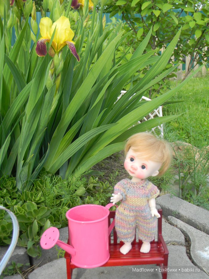 Вовка и компания (БЖД Ino Irrealdoll, Ellemeno Nikki Britt, Pukifee Fairyland) | Бэйбики Вовка и компания (БЖД Ino Irrealdoll, Ellemeno Nikki Britt, Pukifee Fairyland)