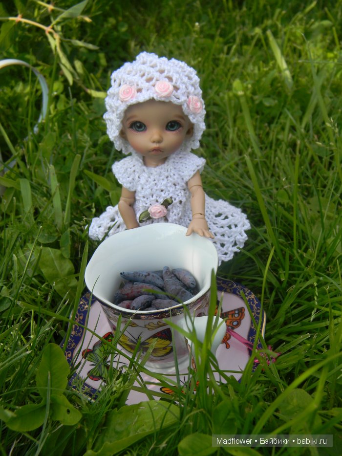 Вовка и компания (БЖД Ino Irrealdoll, Ellemeno Nikki Britt, Pukifee Fairyland) | Бэйбики Вовка и компания (БЖД Ino Irrealdoll, Ellemeno Nikki Britt, Pukifee Fairyland)