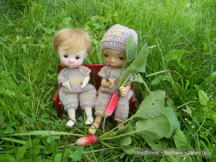 Вовка и компания (БЖД Ino Irrealdoll, Ellemeno Nikki Britt, Pukifee Fairyland) | Бэйбики Вовка и компания (БЖД Ino Irrealdoll, Ellemeno Nikki Britt, Pukifee Fairyland)