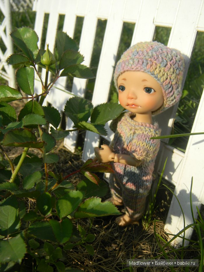 Вовка и компания (БЖД Ino Irrealdoll, Ellemeno Nikki Britt, Pukifee Fairyland) | Бэйбики Вовка и компания (БЖД Ino Irrealdoll, Ellemeno Nikki Britt, Pukifee Fairyland)