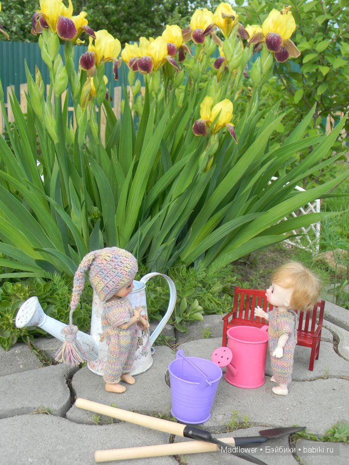 Вовка и компания (БЖД Ino Irrealdoll, Ellemeno Nikki Britt, Pukifee Fairyland) | Бэйбики Вовка и компания (БЖД Ino Irrealdoll, Ellemeno Nikki Britt, Pukifee Fairyland)