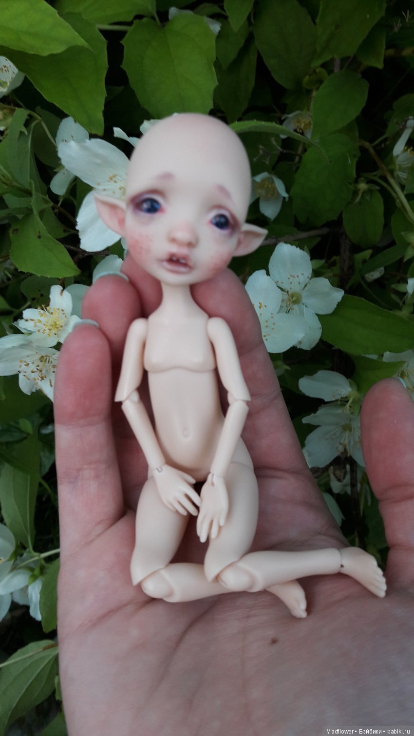 Tiny Mystery от Nefer Kane - моя домашняя феечка (фото 3)