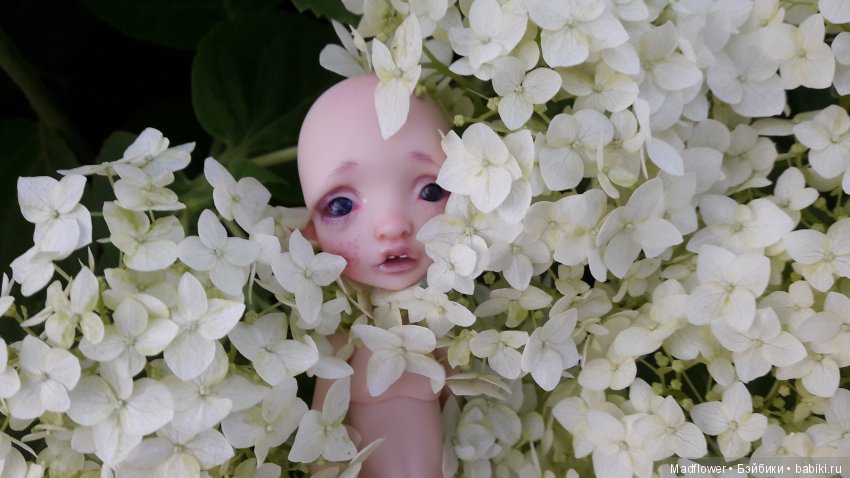 Tiny Mystery от Nefer Kane - моя домашняя феечка (фото 6)