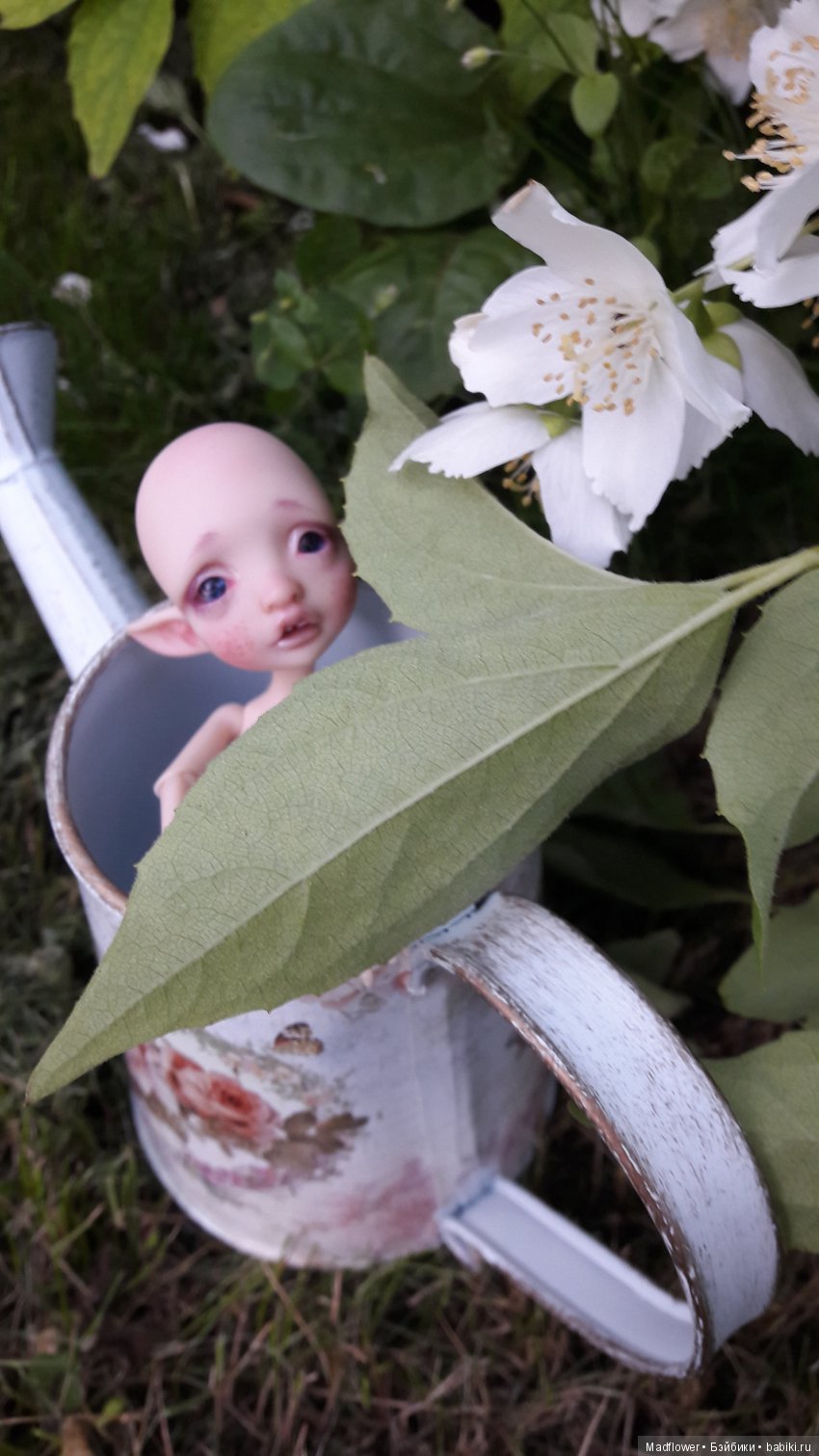 Tiny Mystery от Nefer Kane - моя домашняя феечка