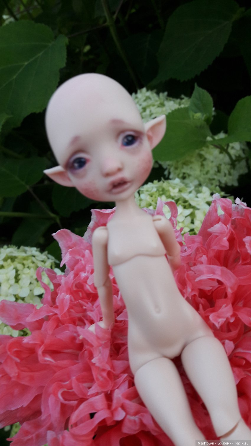 Tiny Mystery от Nefer Kane - моя домашняя феечка (фото 4)