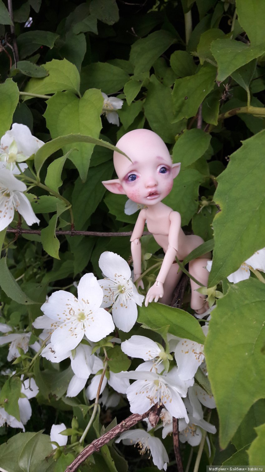 Tiny Mystery от Nefer Kane - моя домашняя феечка (фото 2)