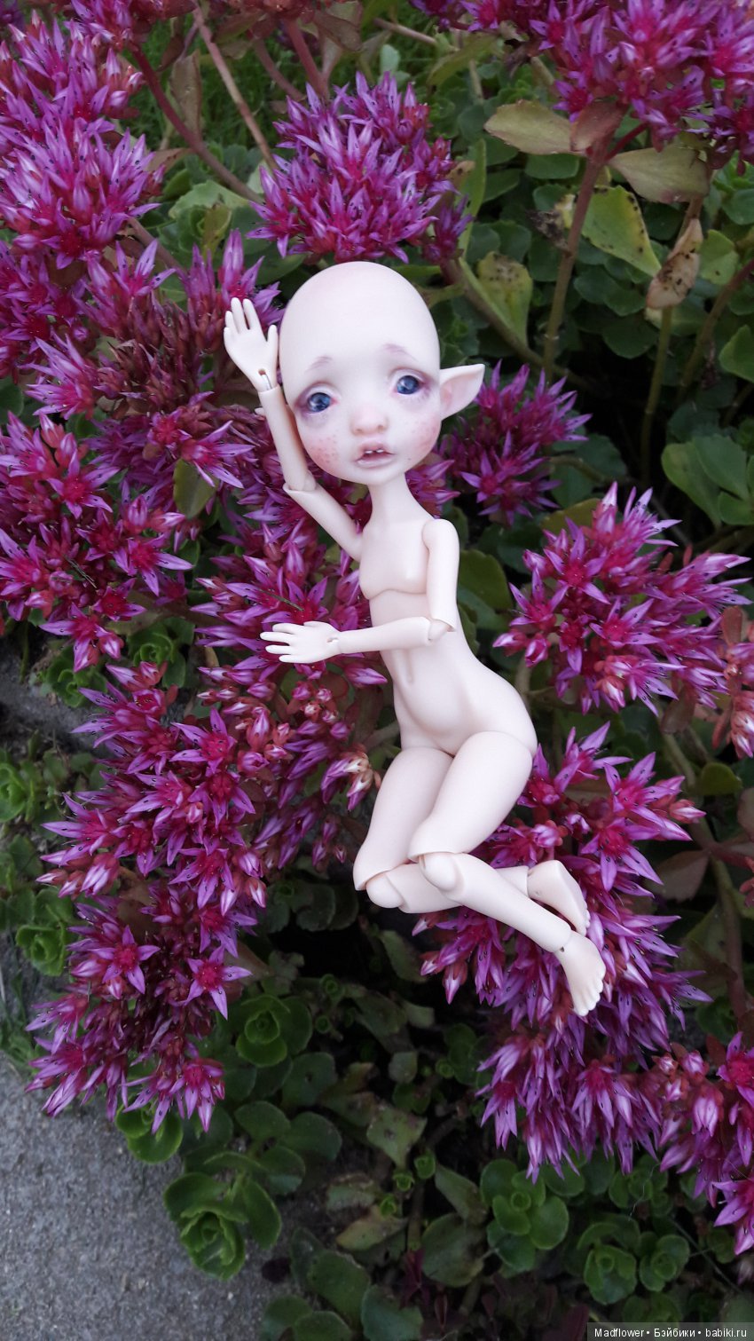 Tiny Mystery от Nefer Kane - моя домашняя феечка (фото 5)