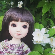 Моя Ми (Liz Frost 13" Mia)