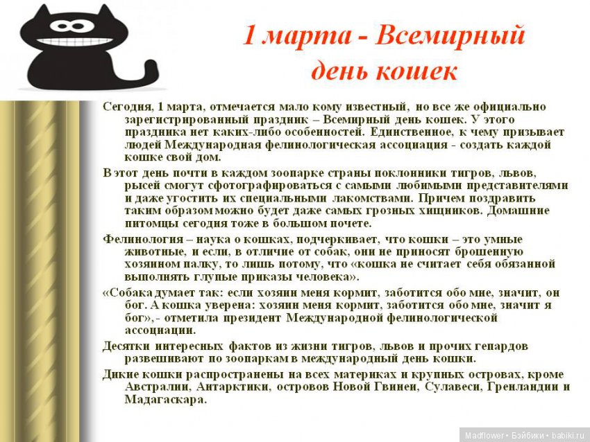 1 марта День Кошек — Одежда и обувь для кукол BJD (БЖД): 1/3