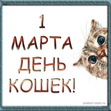 1 марта День Кошек
