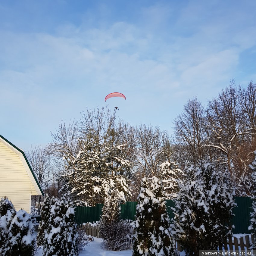 Русская зима. Первое приключение Мисси (фото 5)