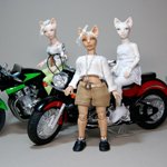 Такая разная Китт. Шарнирная кукла