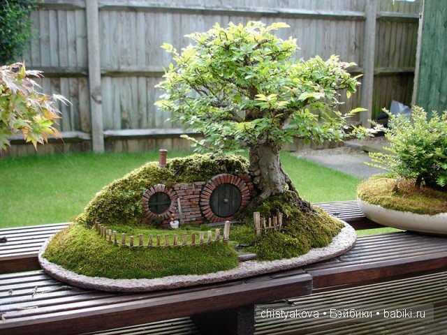 Бонсай (Bonsai). Миниатюра КрисГайс (ChrisGuise)