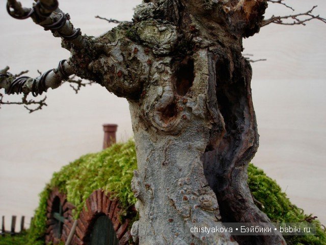 Бонсай (Bonsai). Миниатюра КрисГайс (ChrisGuise)