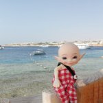 Отдых Шкоды в Египте!