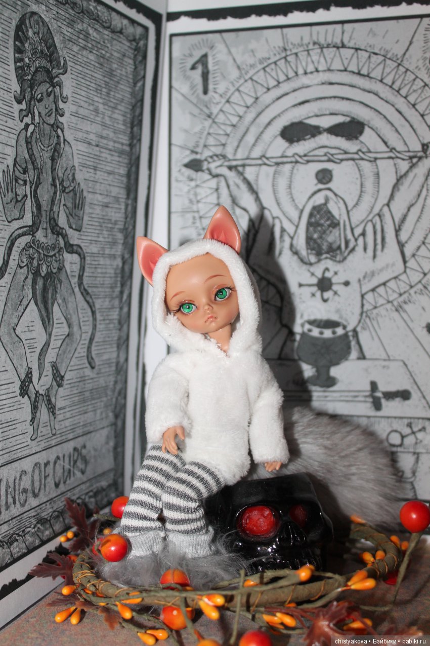 Как менялся мой крошка Лис (фото 5)