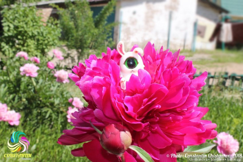 Моя спящая коллекция — Фотоистории с куклами BJD (БЖД): сериалы