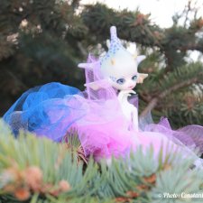 Предание о Лунном Драконе