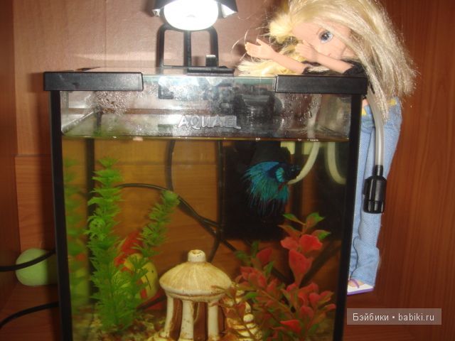 Кукла " Moxie Girlz ". Милашка Эйвери. Приключение в новом доме | Бэйбики Кукла " Moxie Girlz ". Милашка Эйвери. Приключение в новом доме