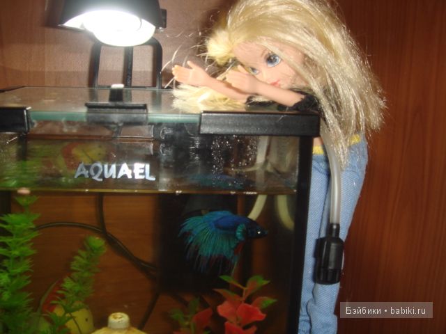 Кукла " Moxie Girlz ". Милашка Эйвери. Приключение в новом доме