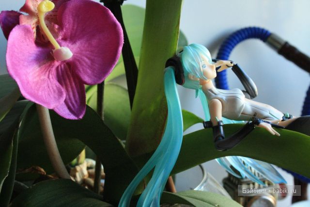 Микуша Хатсунэ