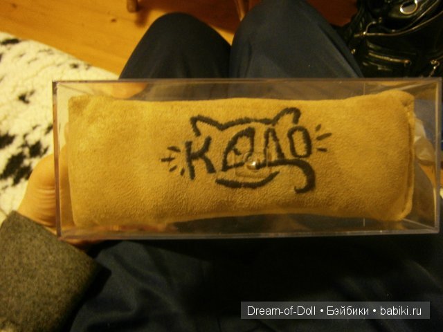 Переноска для шарнирного кота