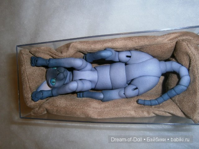 Переноска для шарнирного кота