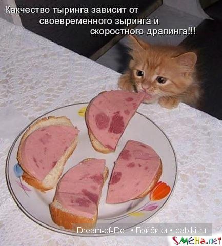 Доброго юмора пост :) — Интересное и необычное: фотоподборки (фото 5)