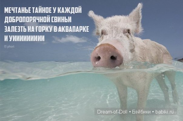 Доброго юмора пост :) — Интересное и необычное: фотоподборки