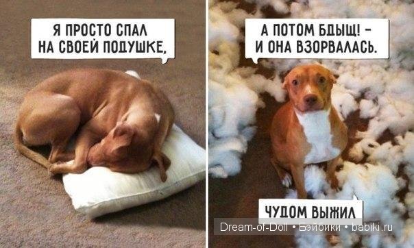 Доброго юмора пост :) — Интересное и необычное: фотоподборки